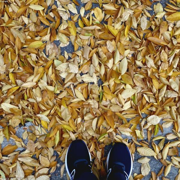 Nike Air Force 1 Sneakers