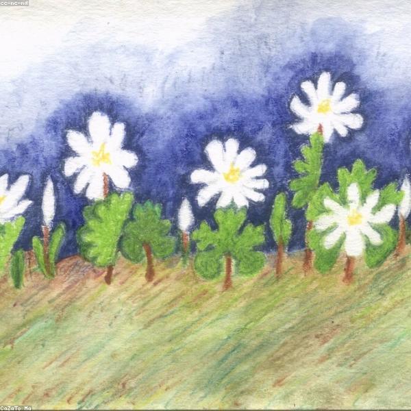 Colored Pencils 48-Pack