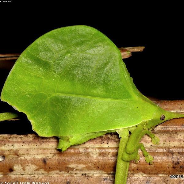 1984 by George Orwell